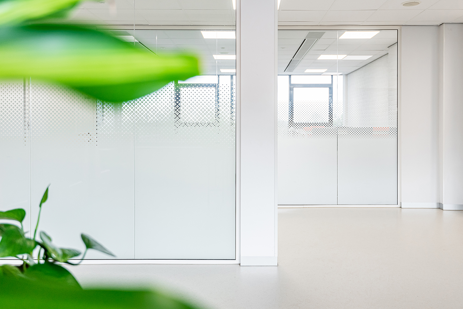 Voorbeeld systeemwand